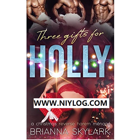 Three Gifts for Holly by Brianna Skylark -www.niylog.com