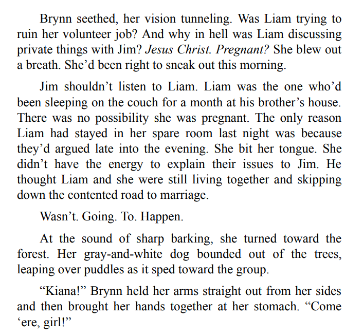 Chilled by Kendra Elliot Free Download