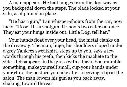 On-Earth-We’re-Briefly-Gorgeous-by-Ocean-Vuong-PDF (1)