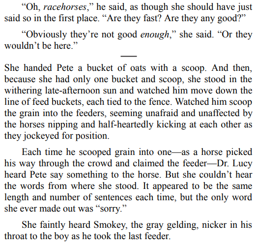 Say-Goodbye-for-Now-by-Catherine-Ryan-Hyde-PDF