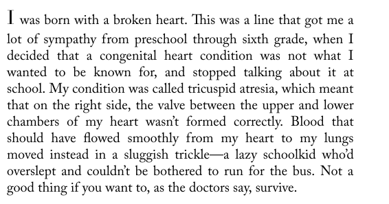 Who Do You Love by Jennifer Weiner 