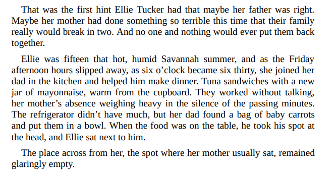 The Chance by Karen Kingsbury