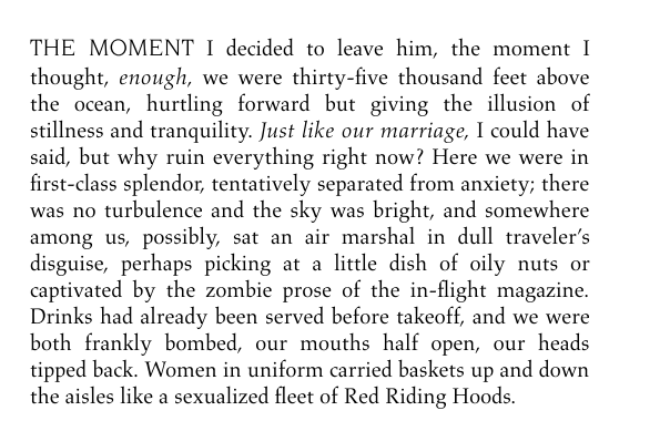 The Wife by Meg Wolitzer