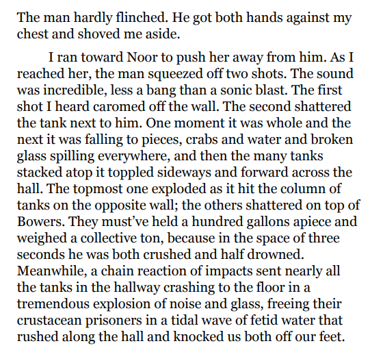 The Conference of the Birds by Ransom Riggs