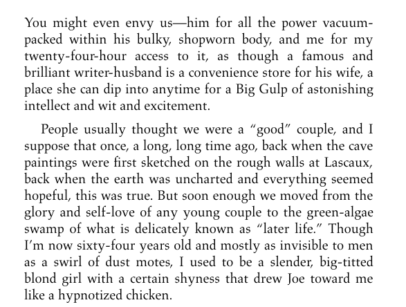 The Wife by Meg Wolitzer