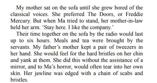 Burnt Sugar by Avni Doshi