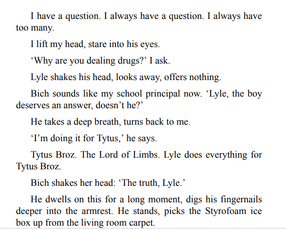 Boy Swallows Universe by Trent Dalton 