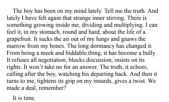 The Thirteenth Tale by Diane Setterfield 