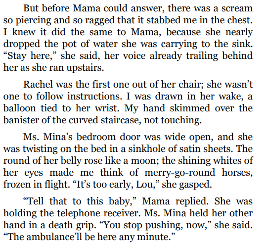 Small Great Things By Jodi Picoult Free Download