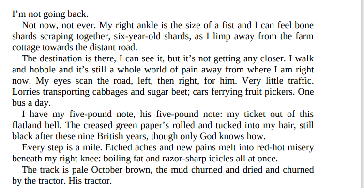 The Last Thing to Burn by Will Dean