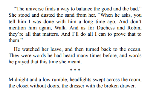 We Begin at the End By Chris Whitaker