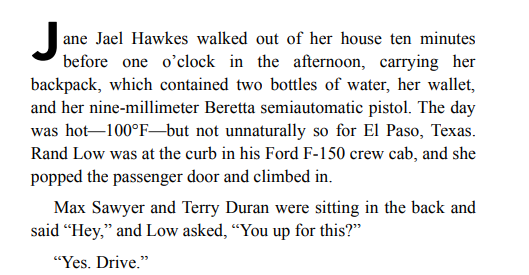 The Investigator by Joh Sandford