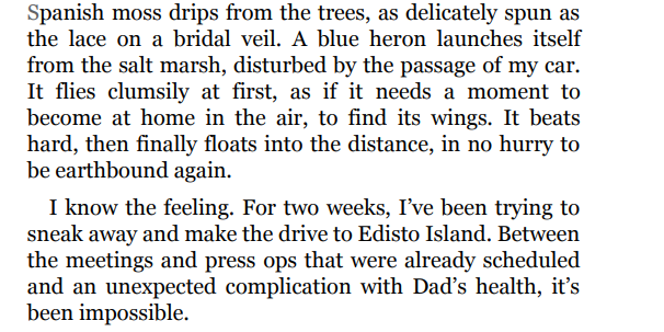 before we were yours by lisa wingate