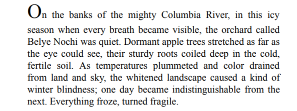 Winter Garden By Kristin Hannah