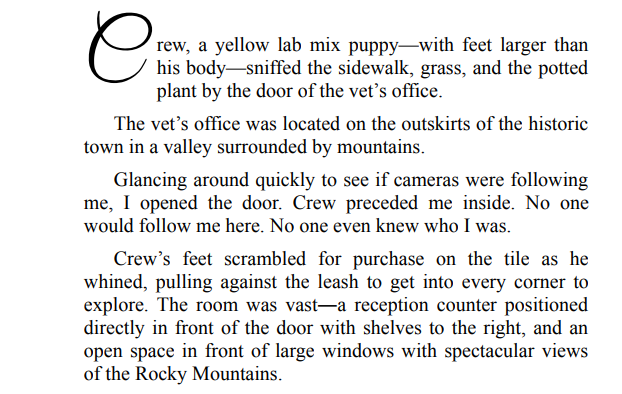 Infamous Love by Lea Coll