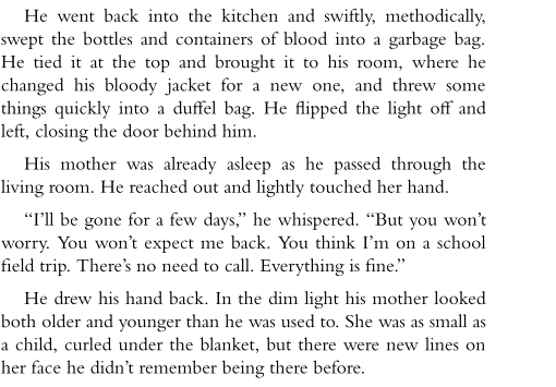 City of Fallen Angels by Cassandra Clare