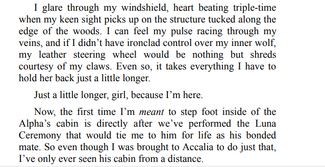 Never His Mate by Sarah Spade