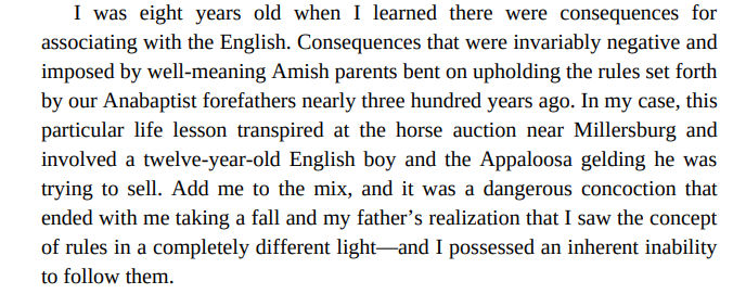 After the Storm by Linda Castillo