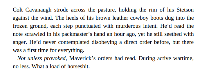 Cowboy in Wolf’s Clothing by Kate Ballenger 