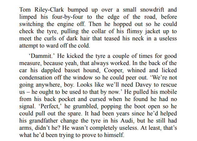 If Every Day Was Christmas by Donna Ashcroft