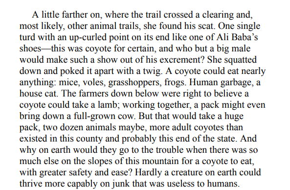 Prodigal Summer by Barbara Kingsolver