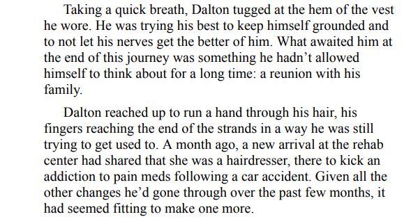 The Mission by Noelle Adams