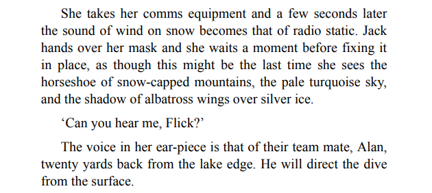 The Split by Sharon J. Bolton