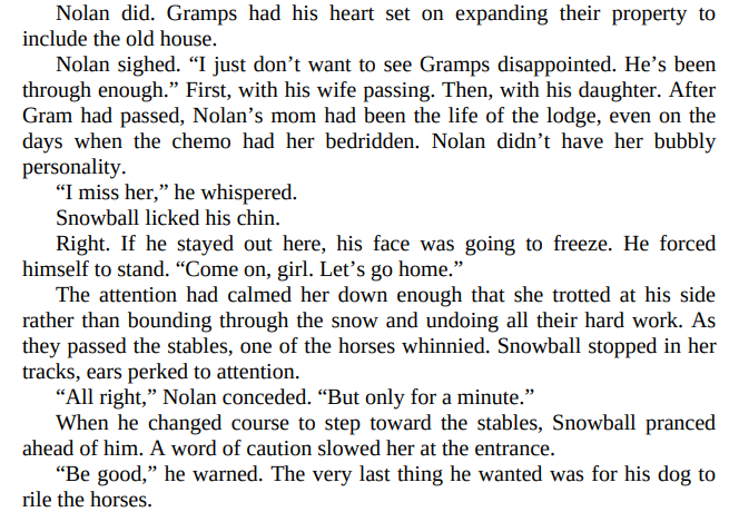 Christmas at Cozy Holly Inn by Meredith Summers Free Download