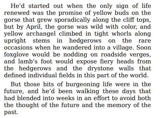 Careless in Red by Elizabeth George