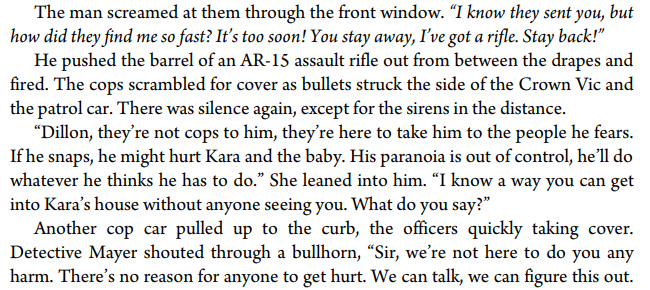 Enigma by Catherine Coulter