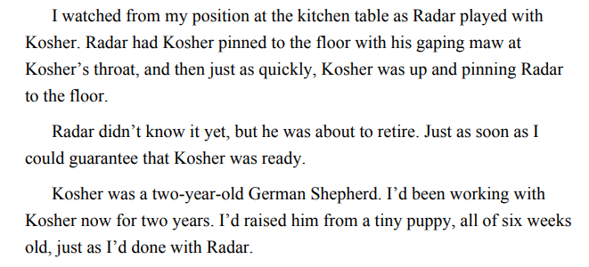 Kevlar to My Vest by Lani Lynn Vale