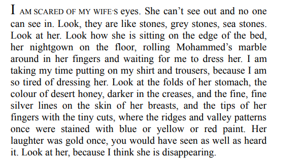 The Beekeeper of Aleppo by Christy Lefteri