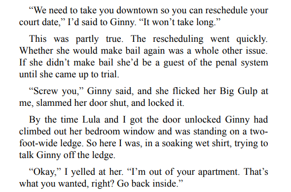 Tricky Twenty-Two by Janet Evanovich