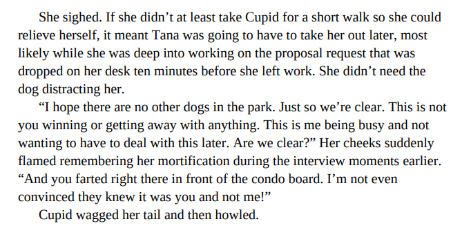 Cupid to the Rescue by Lisa Mondello