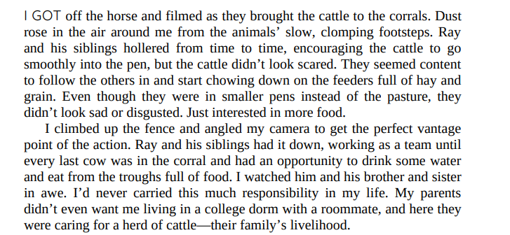 Curvy Girls Can’t Date Cowboys by Kelsie Stelting