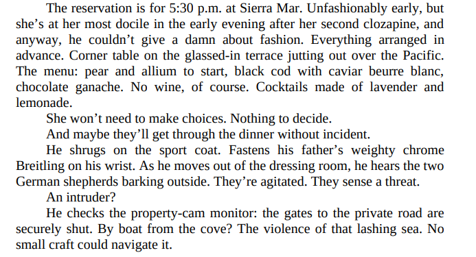 Mrs. Rochester’s Ghost by Lindsay Marcott