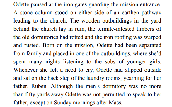 The White Girl By Tony Birch