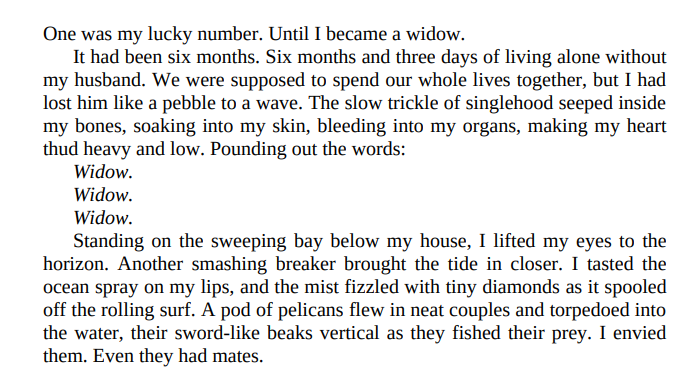 The Wife’s House by Arianne Richmonde