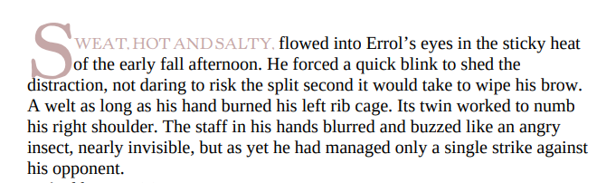 The Hero’s Lot by Patrick W. Carr