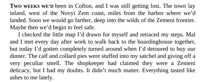 Siege and Storm by Leigh Bardugo