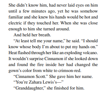 Wrong Dress Right Guy by Shirley Hailstock