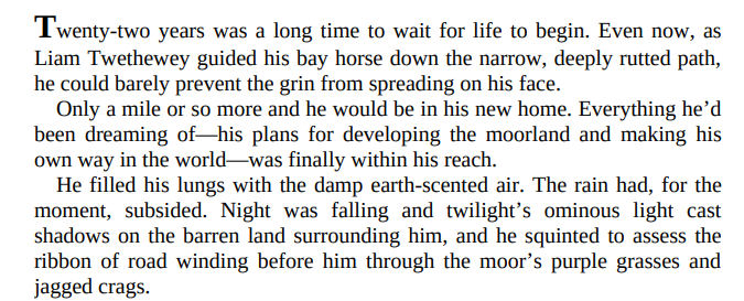 The Light at Wyndcliff by Sarah E. Ladd 