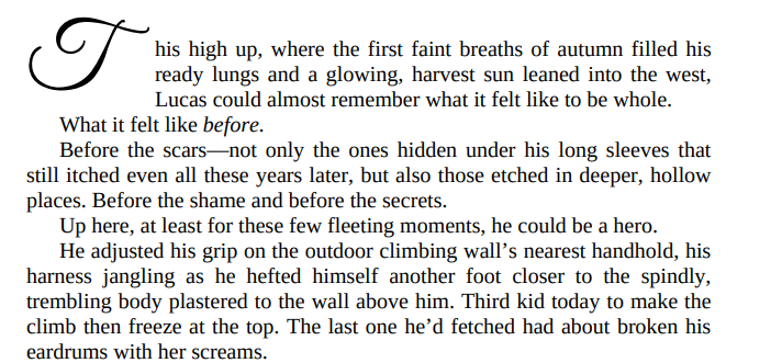 Some Bright Someday by Melissa Tagg