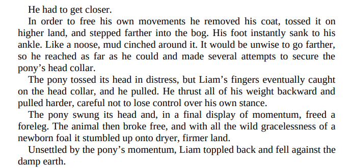 The Light at Wyndcliff by Sarah E. Ladd 