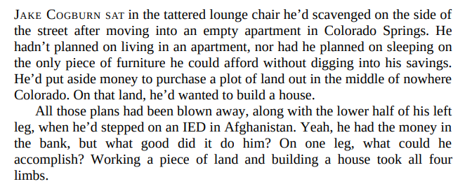 SEAL SALVATION by Elle James