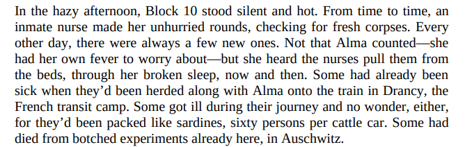 The Violinist of Auschwitz by Ellie Midwood