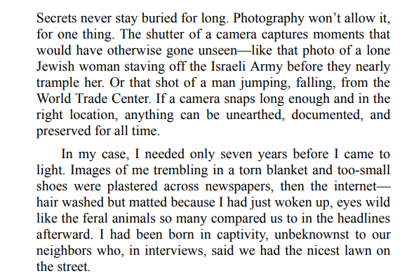 Lies We Bury by Elle Marr