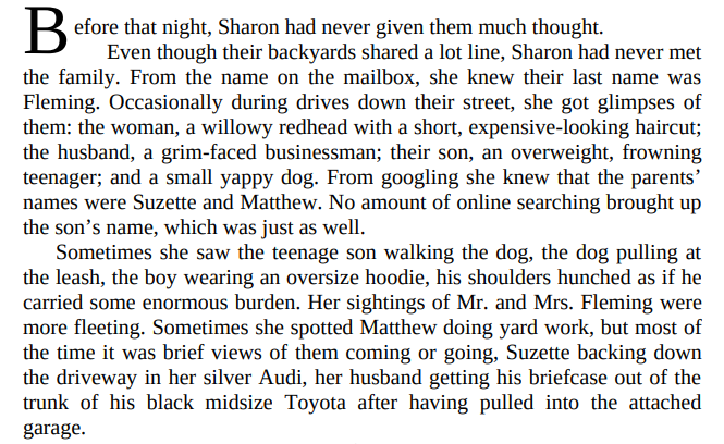 The Moonlight Child By Karen McQuestion