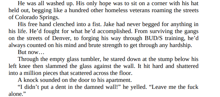 SEAL SALVATION by Elle James