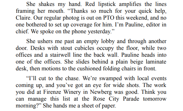 Lies We Bury by Elle Marr